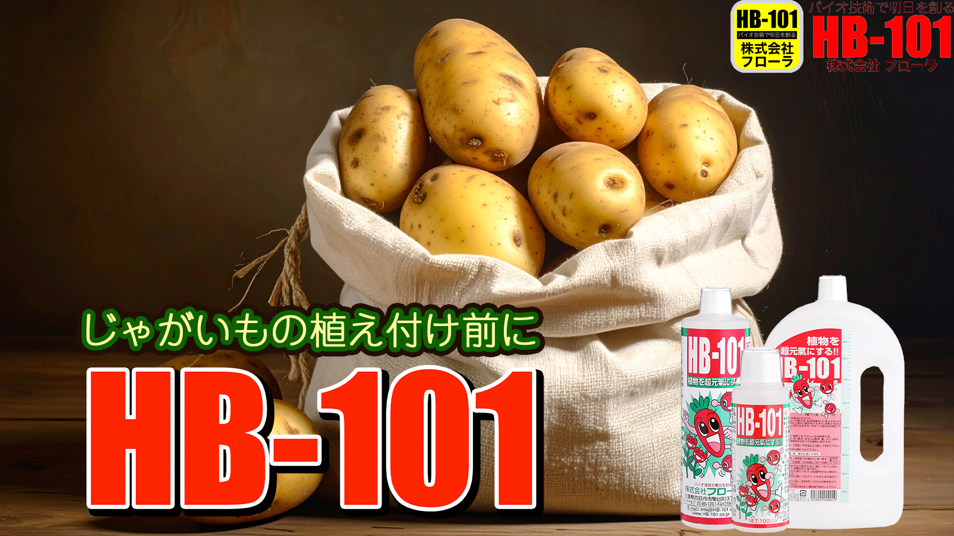 Amazon.co.jp: フローラ(Flora) 植物活力剤 HB-101 即効性 1000倍希釈